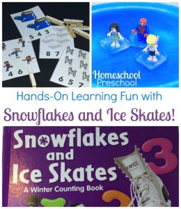 Winter Counting with Snowflakes and Ice Skates