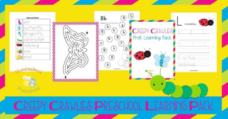 Print-Insects-735x385 Summer Learning Activities for Preschool