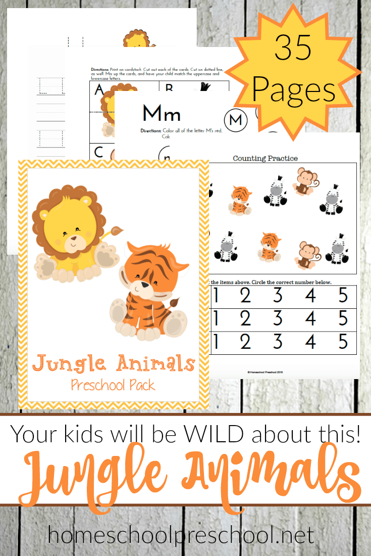 Preschoolers love animals! Teach or reinforce preschool skills with this fun jungle animal-themed preschool pack! | homeschoolpreschool.net