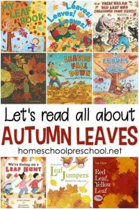 Best Picture Books About Leaves for Preschool