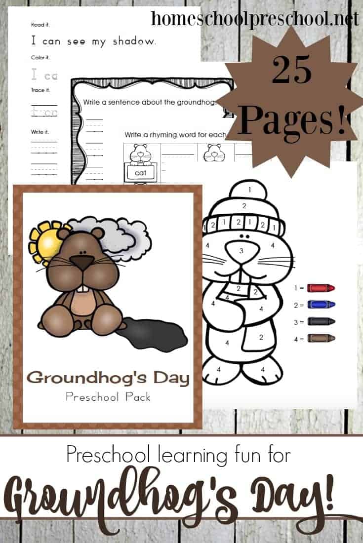 Whether you're a fan of the cold weather or not, your preschoolers will have so much fun with this brand new groundhog-themed learning pack! | homeschoolpreschool.net