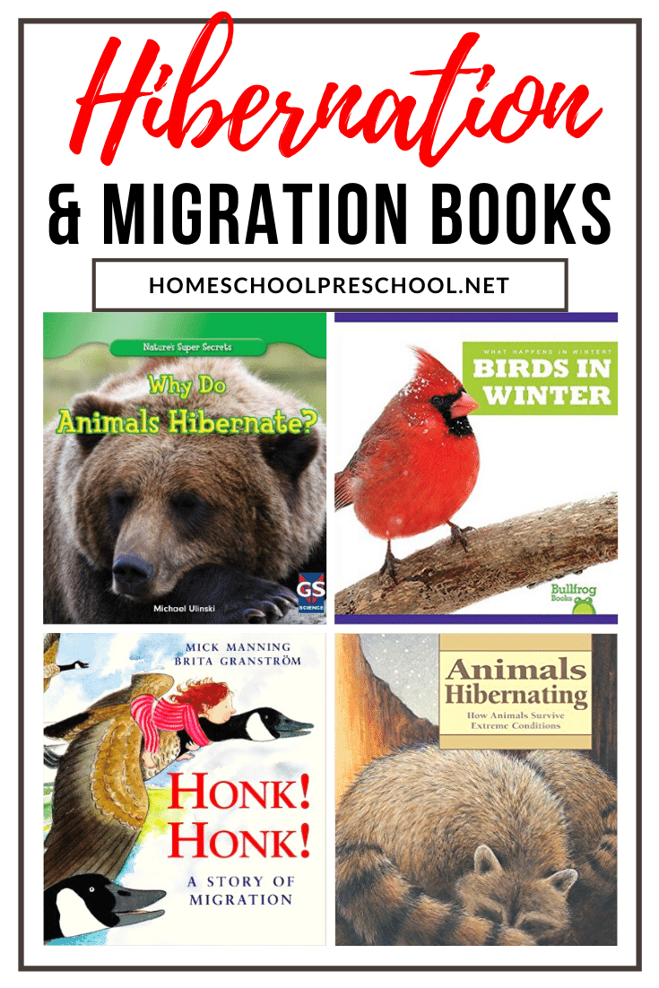 Winter is a great time to add books about hibernation and migration to your reading time. Here's a great list of picture books to get you started!