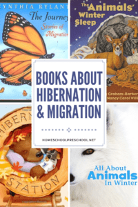 Books About Hibernation and Migration