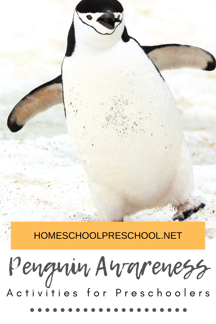 Preschoolers love penguins! Here are five amazing penguin books to read as you celebrate Penguin Awareness Day on January 20!