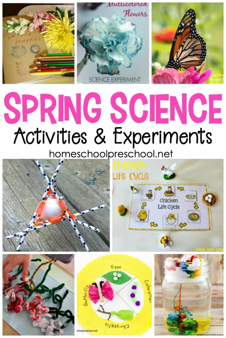 Take advantage of all the new that spring has to offer, and incorporate as many of these spring science experiments for preschoolers as you can!