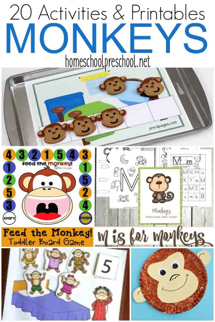 Your little monkey will flip for these monkey activities for preschoolers. These printables and crafts are a must for your homeschool preschool lessons.