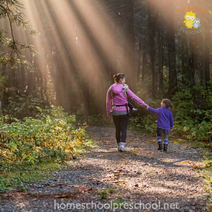 Summer is almost here! It's the perfect time to enjoy nature hikes with your preschoolers. Discover five tips to make them more enjoyable!