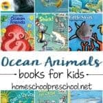 I love this collection of 27 amazing ocean animal books for preschoolers! These are great for young readers who are learning about animals and the ocean!