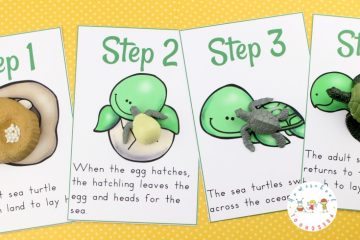 Preschool Sea Turtle Life Cycle Printable Unit Study