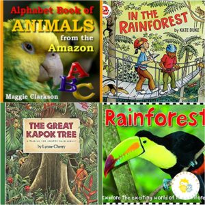 18 Amazing Rainforest Animals Books
