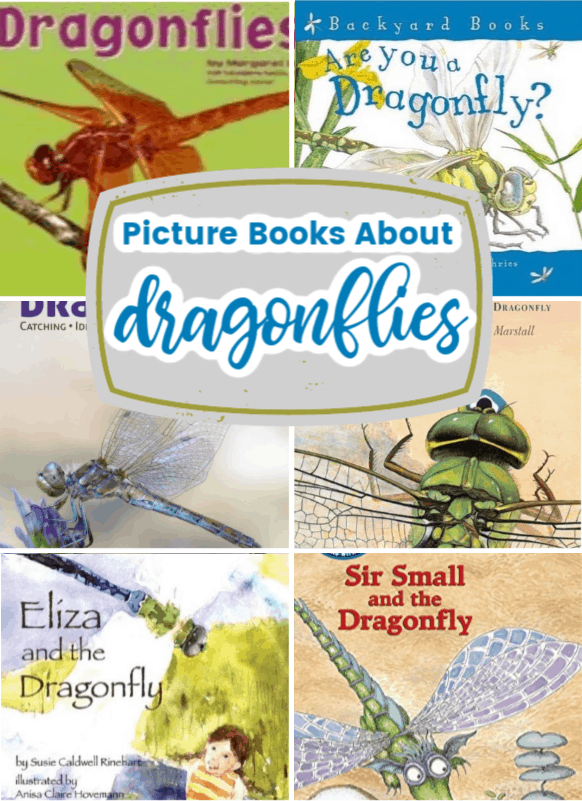 11 Amazing and Fabulous Books about Dragonflies