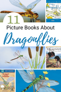 Books about Dragonflies