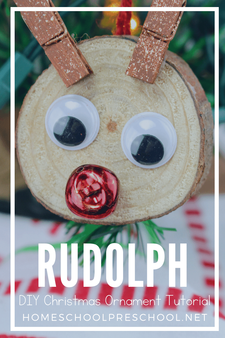 DIY Rudolph Ornaments