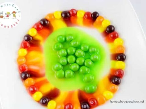 skittles-candy-science-magic-480x360 Skittles Science Project for St. Patrick's Day