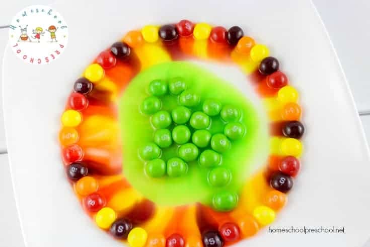 I love being able to incorporate the holidays into our homeschool lessons. This easy candy science project is perfect for St. Patrick’s Day!