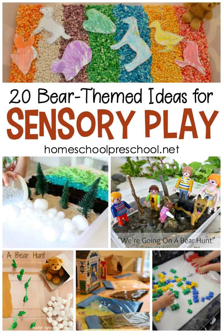20 Bear-Themed Sensory Play Activities for Preschoolers