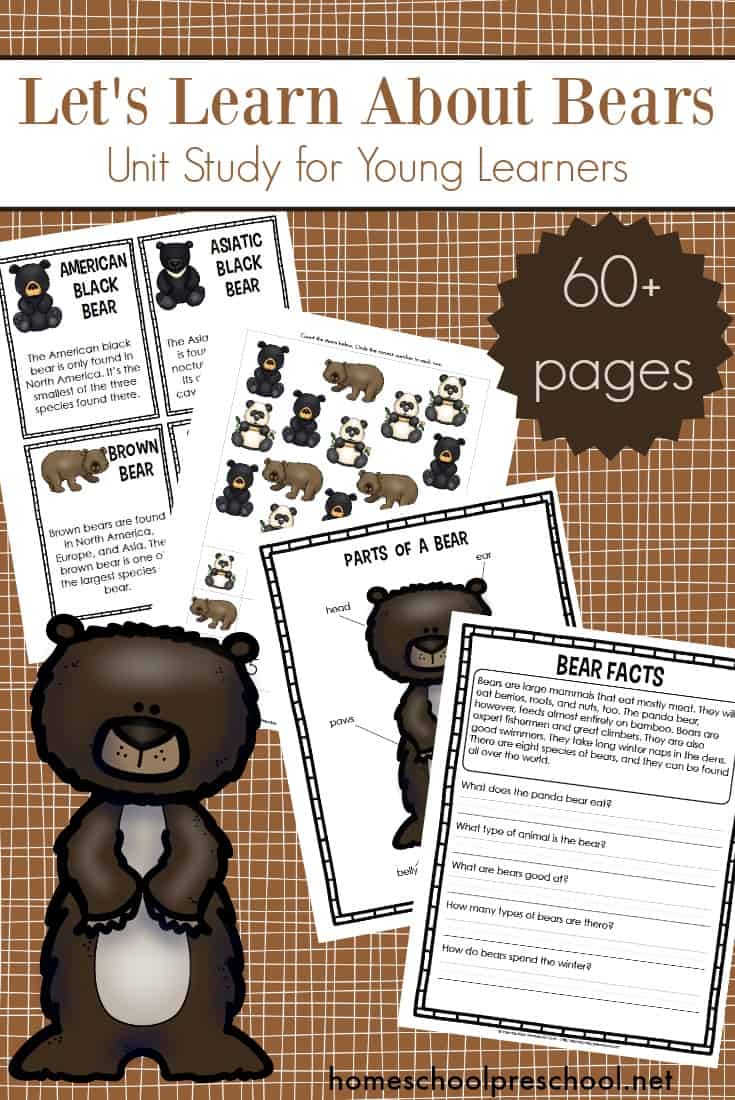 Preschoolers will have fun learning about 8 types of bears in this Let's Learn About Bears preschool unit study! There are enough activities to span a week or more!