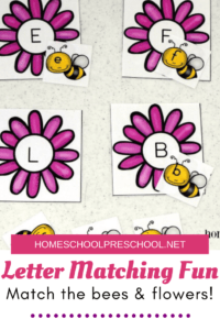 Bee Themed Letter Matching Games