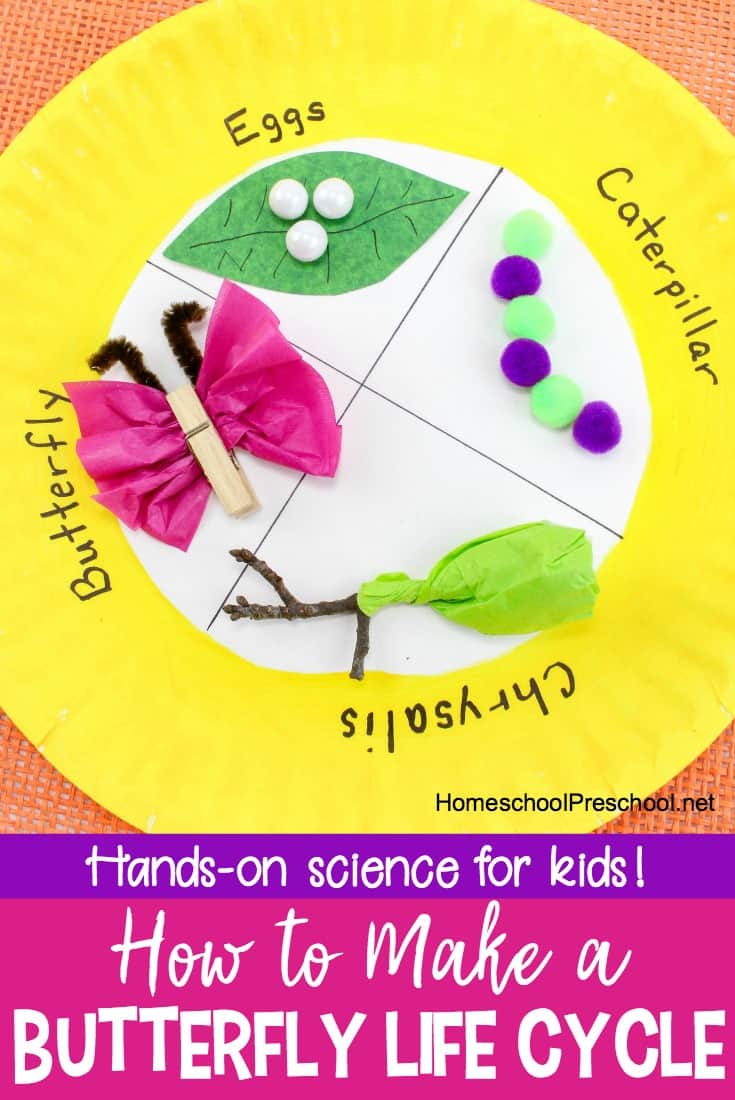 life-cycle-of-a-butterfly Paper Plate Crafts for Kids