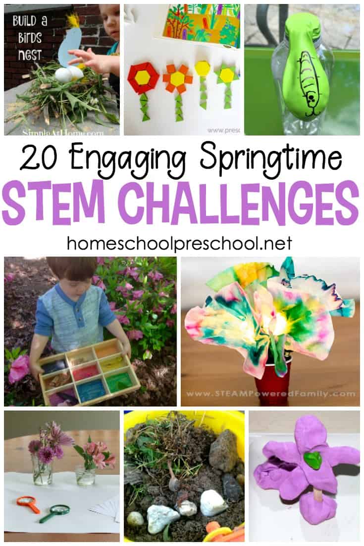 Introduce springtime STEM into your homeschool preschool lessons with this amazing collection of 20 STEM activities for kids.
