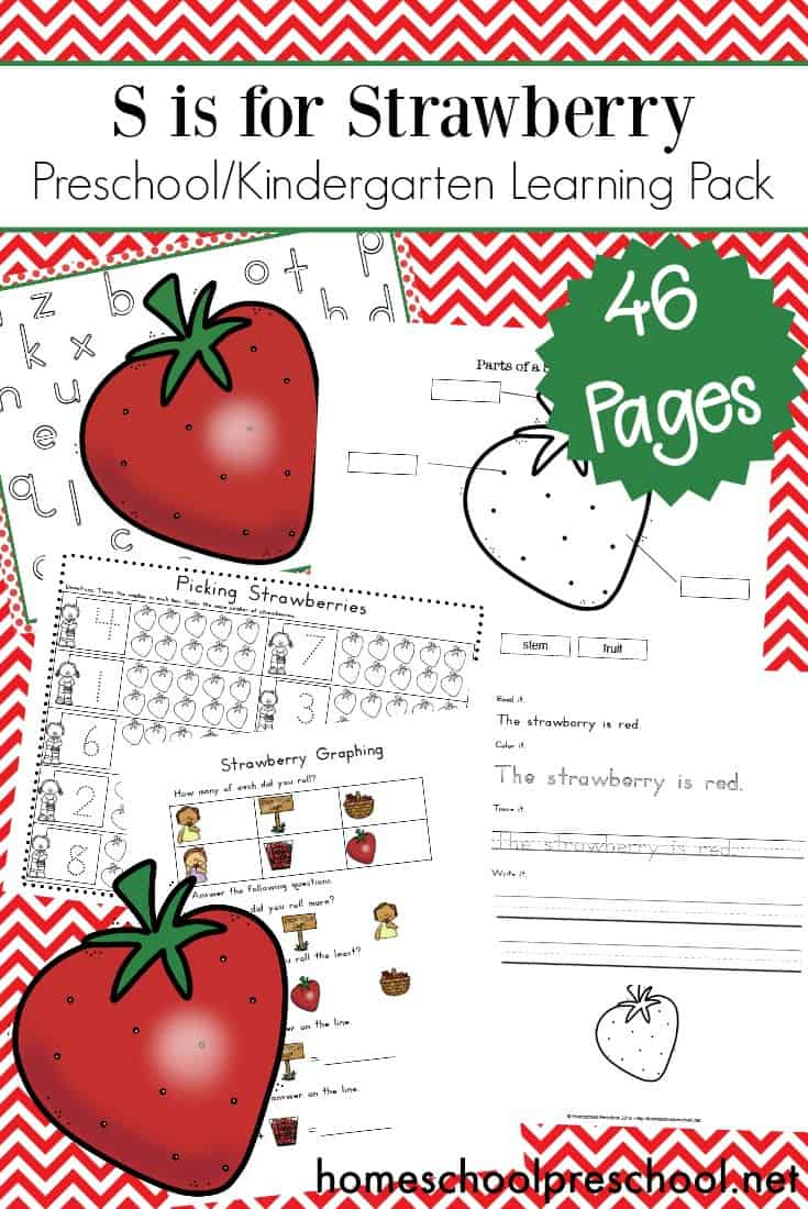 strawberry-preschool-theme-pin 22 Strawberry Printable Worksheets for Preschoolers
