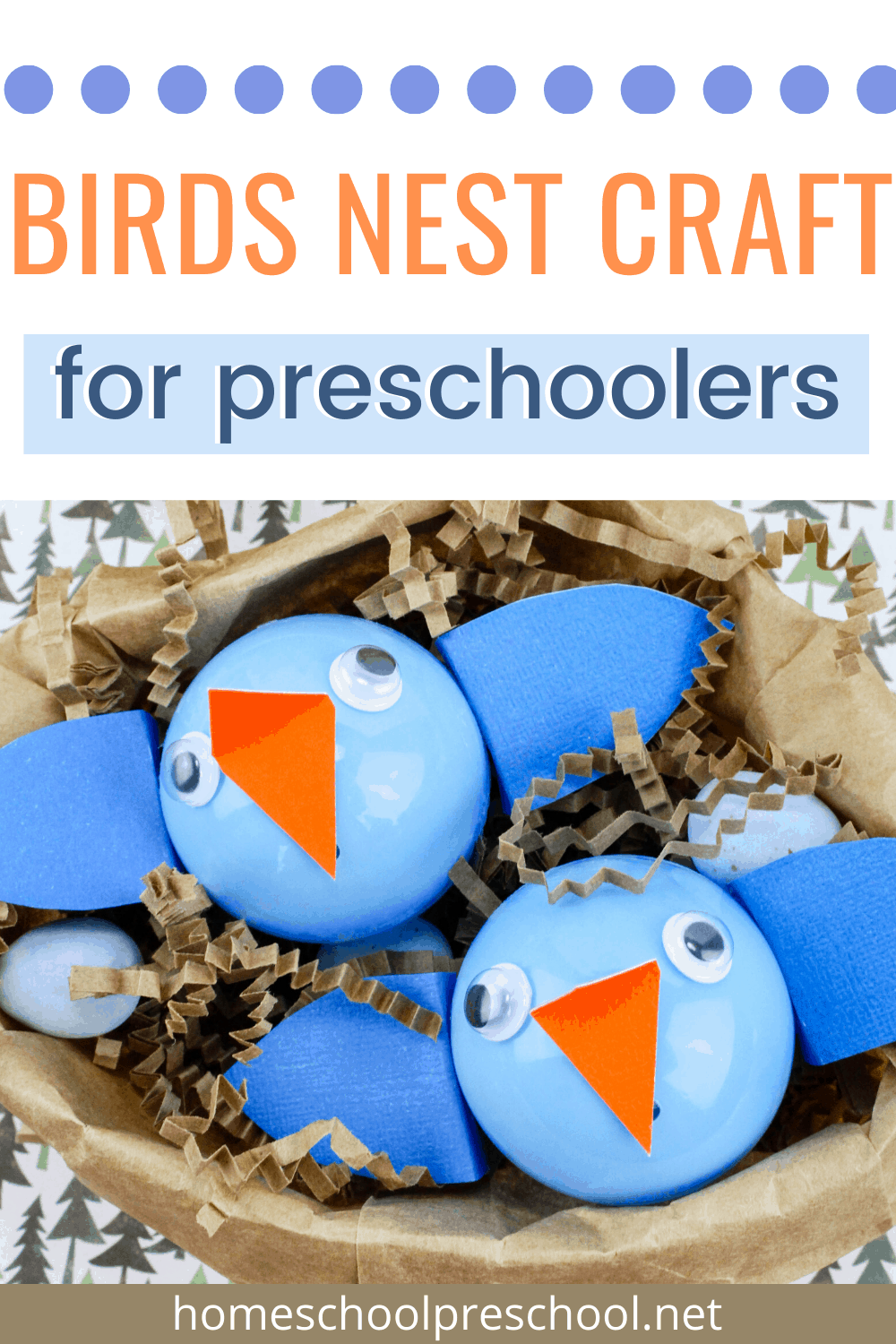 Children of all ages will enjoy making this adorable baby birds nest craft! It's a great addition to your spring lessons or your bird unit study.