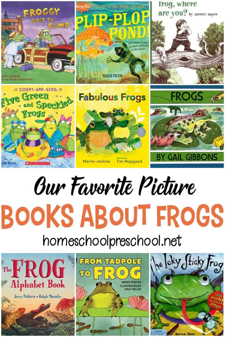 Get your preschoolers excited about amphibians with these frog books for kids. Whether you are exploring the life cycle of a frog or enjoying silly frog story books, pique your little ones' interest with these.