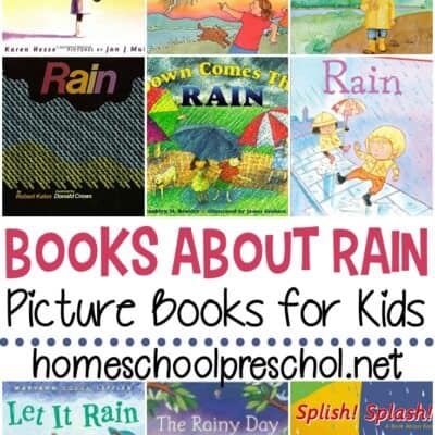 Picture Books About Rain