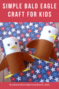 Bald Eagle Toilet Paper Roll Craft