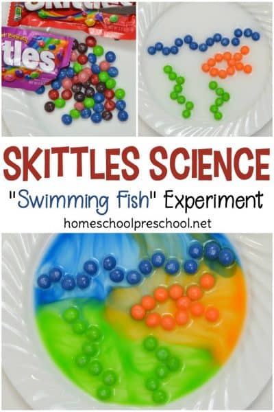 Summer science at its finest! You don't want to miss this ocean-themed Skittles candy science experiment. Your kids will beg to do it again and again.