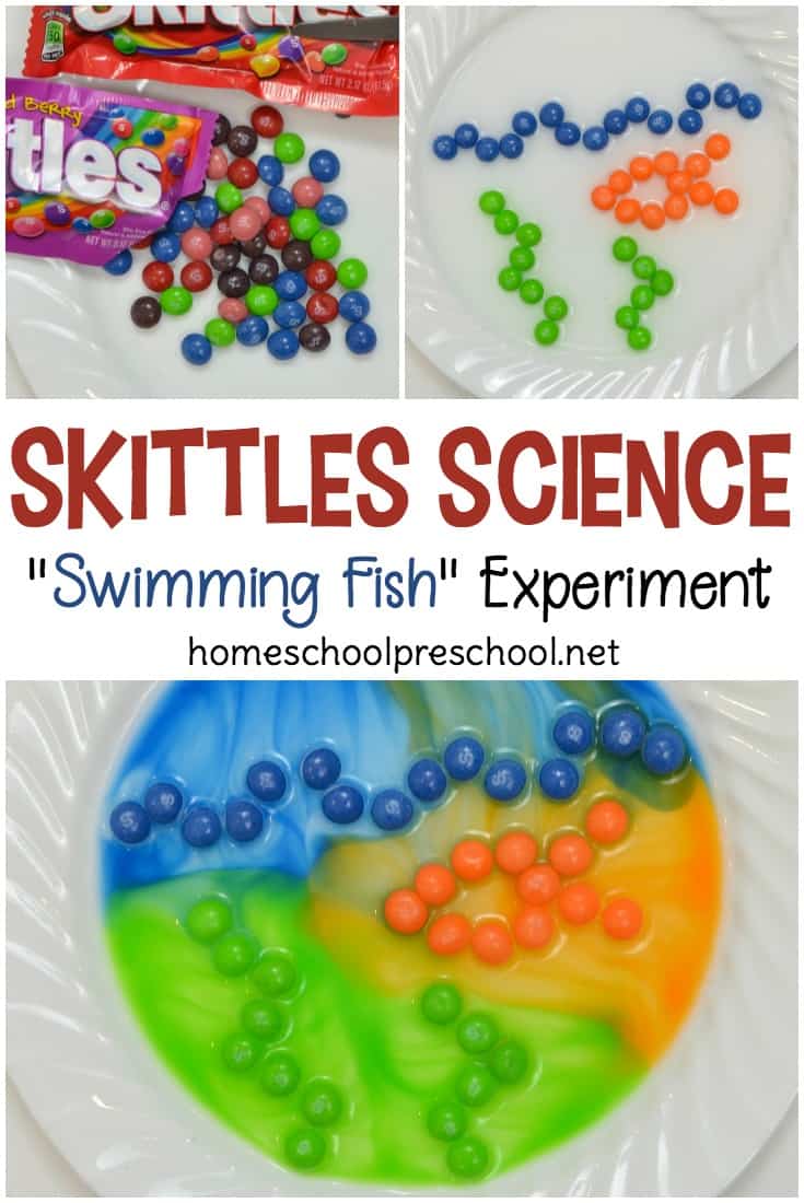Ocean-Themed Skittles Candy Science Experiment
