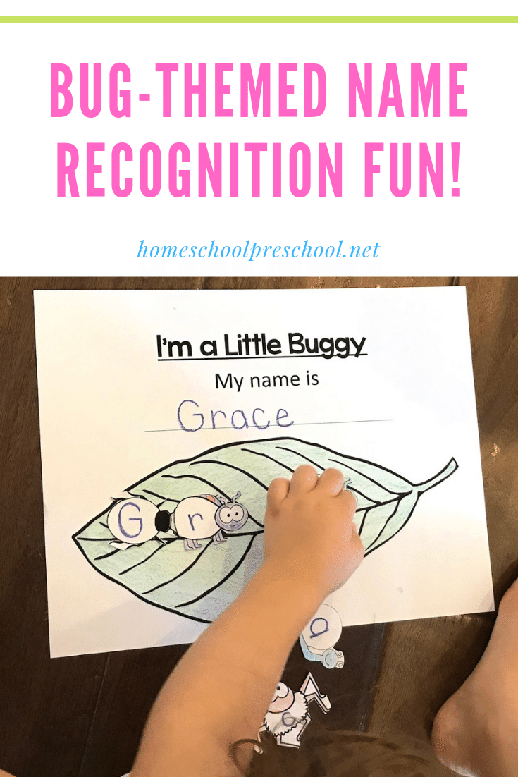 Bug-Themed Name Recognition Activity