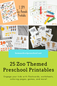 25 Engaging Preschool Zoo Printables