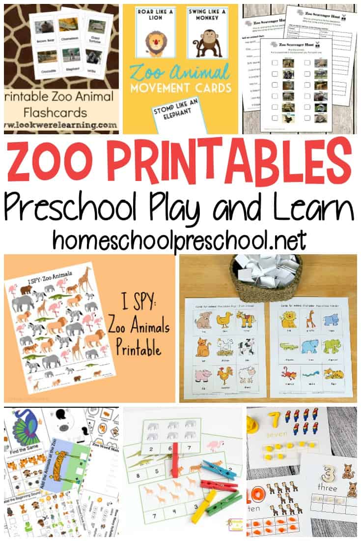 From craft templates to scavenger hunts and everything in between. Pique your little one's interest in zoo animals with these preschool zoo printables.