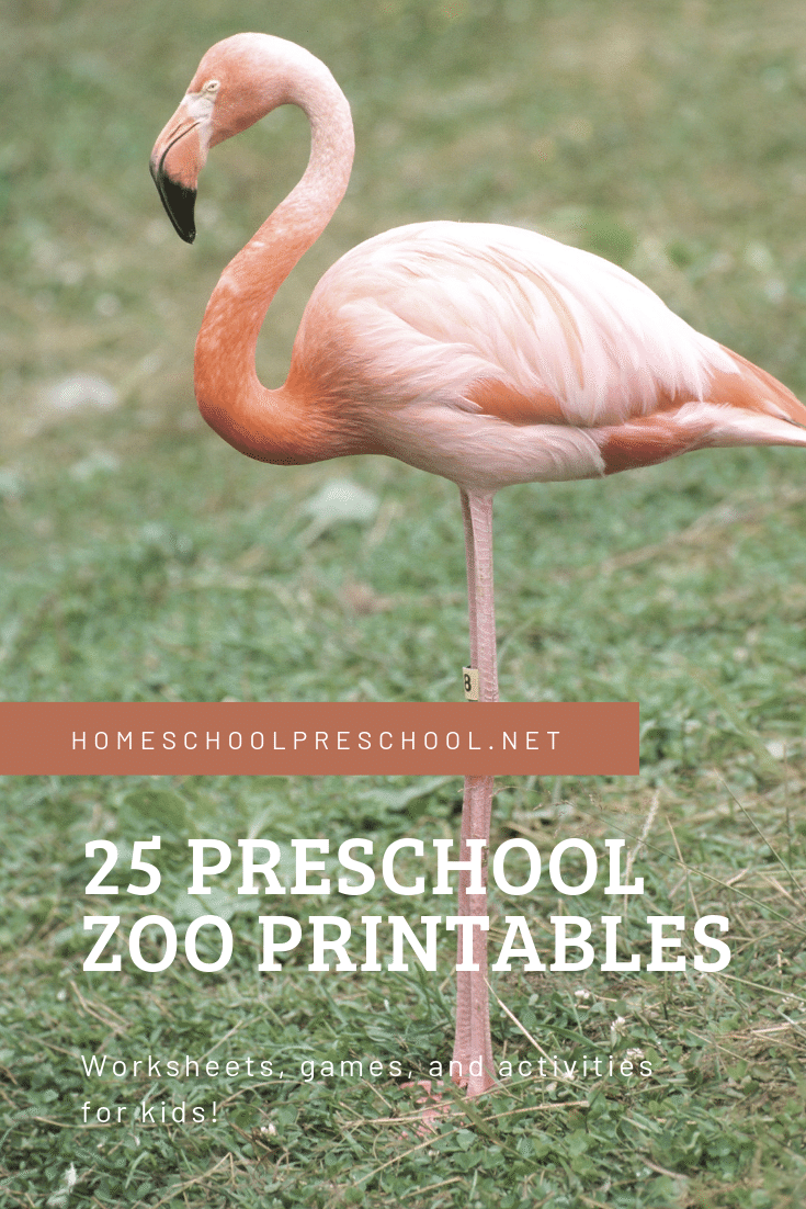 From craft templates to scavenger hunts and everything in between. Pique your little one's interest in zoo animals with these preschool zoo printables.