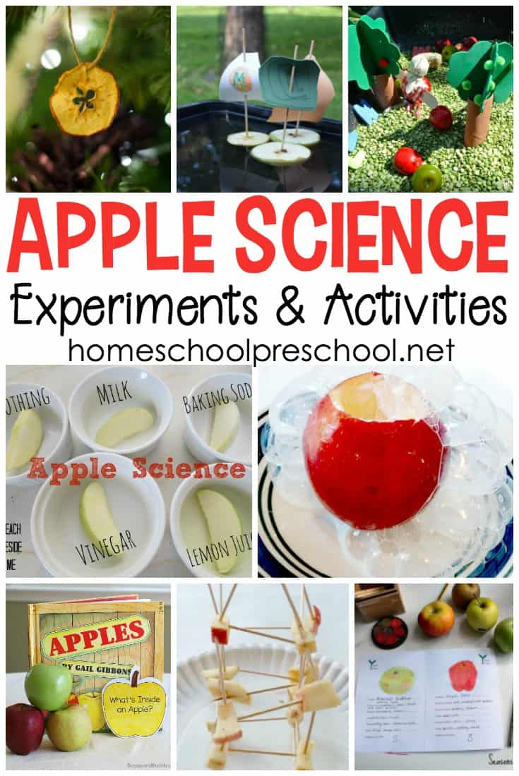 It's time to gear up for back to school. Add one or more of these science activities to your apples preschool theme. The kids will love it!