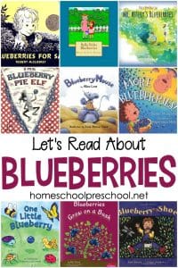 9 Best Blueberry Picture Books for Your Book Basket