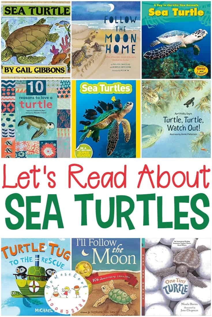 Sea turtles are amazing creatures. These fiction and nonfiction sea turtle books will introduce kids to these amazing sea creatures!