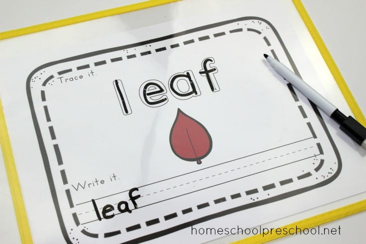Your children will love these engaging preschool leaf theme math and literacy activities. Over 12 hands-on activities to choose from!