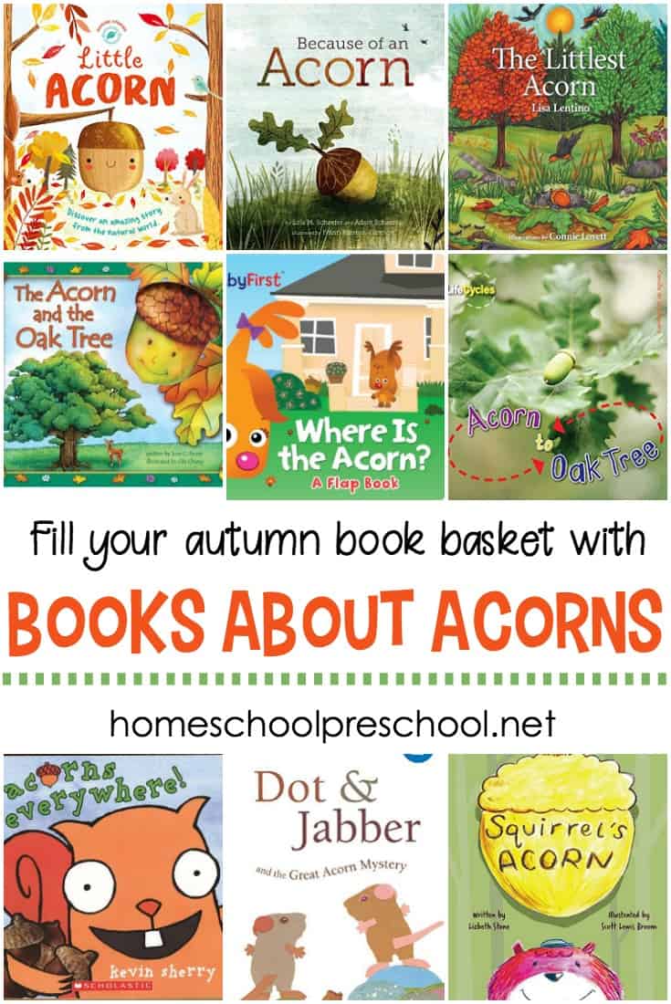 Teach your kids about acorns and oak trees this fall with this great collection of acorn books for kids. They're perfect for your fall book baskets.