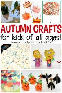 25+ Autumn Activities and Crafts for Preschoolers