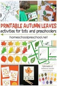 Autumn Leaves Activities for Toddlers and Preschoolers