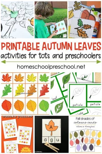 Preschool Leaf Theme Math and Literacy Printables