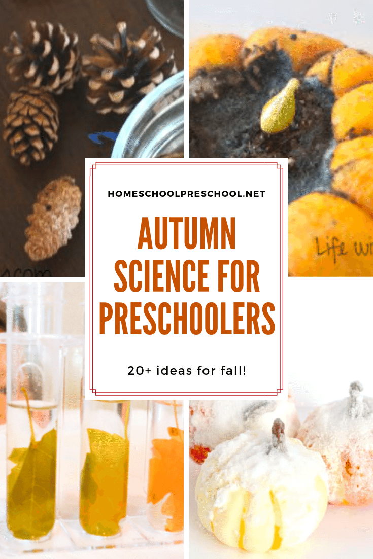 Pumpkins, apples, leaves, and more! Come discover 20 engaging fall science experiments for preschoolers! Hands-on learning for the season.