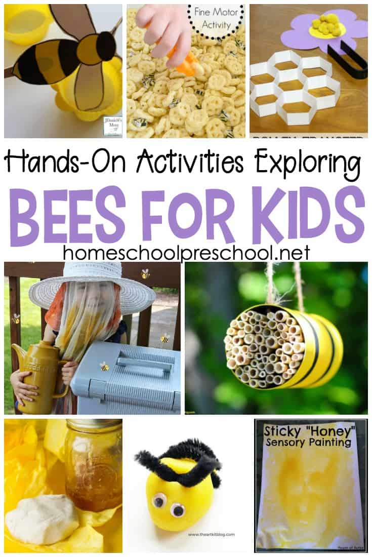 hands-on-bees-for-kids Dinosaur Learning Activities