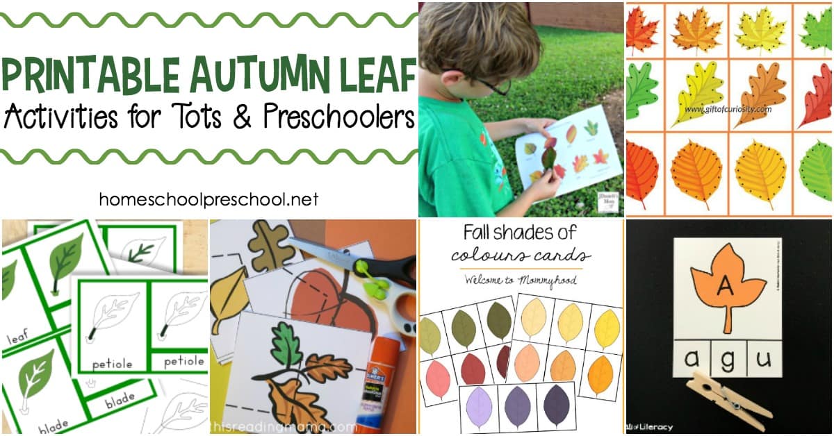 If the leaves are starting to change colors in your area, add one or more of these autumn leaves activities for toddlers and preschoolers to your lessons!
