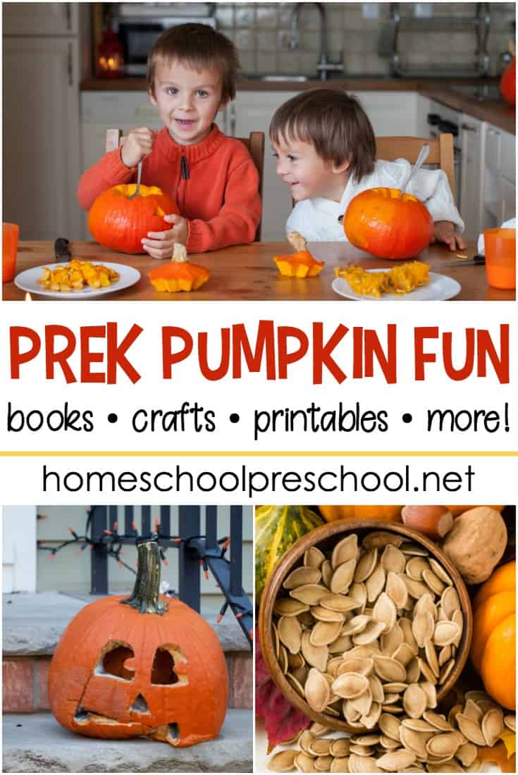 If you've got pumpkin on the brain this fall, you don't want to miss any of these activities that will make a great addition to your preschool pumpkin theme!
