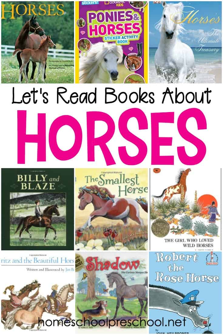 Have a horse crazy child in the house? One who begs for riding lessons or asks Santa for a pony every Christmas? These childrens horse books are for you!