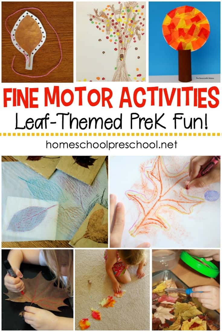 Leaf-Themed Fine Motor Activities for Preschoolers