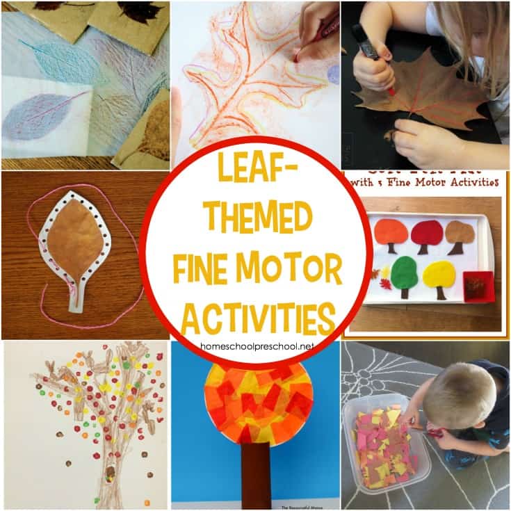 Autumn is just around the corner. Help preschoolers build motor skills with these leaf-themed fine motor activities that are perfect for fall!